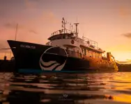 Кораб за проучване за продажба