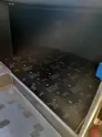 Круизен кораб за продажба