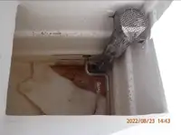 Тралер с мрежа за продажба