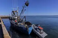 Тралер с мрежа за продажба