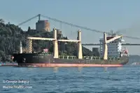 Хладилен кораб за продажба