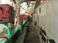 Кораб за улов на калмари за продажба