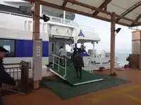 Катамаран за продажба