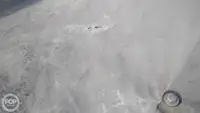 Контейнеровоз за продажба