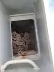 Ферибот за продажба