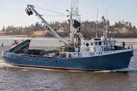 Purse seiner за продан