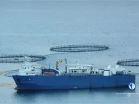 Хладилен кораб за продажба