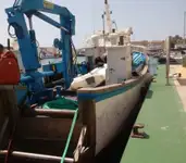 Работни лодки за продажба