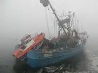 Тралер с мрежа за продажба