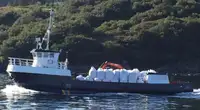 Работни лодки за продажба