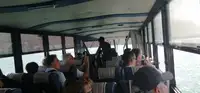 Амфибиен за продажба