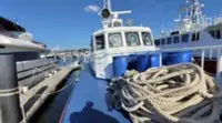 Патрулен кораб за продажба