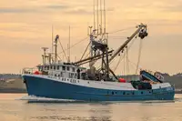 Purse seiner за продан
