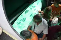 Подводница за продажба