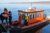 Твърда надуваема лодка за продажба