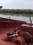 Транспортен кораб за насипни товари за продажба