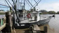 Trawler за продан