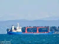 Транспортен кораб за насипни товари за продажба