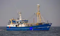 Beam trawler за продан