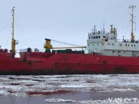 Хладилен кораб за продажба