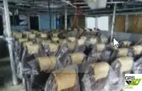 Пътнически кораб за продажба