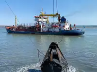 Драга за продажба