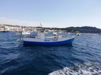 Тралер за продажба