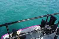 General Cargo/Multi-purpose за продажба