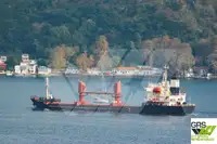 Транспортен кораб за насипни товари за продажба