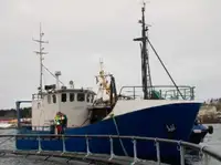 Trawler за продан