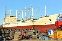 Хладилен кораб за продан