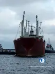 Хладилен кораб за продажба