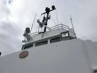 Работни лодки за продажба