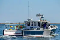 Purse seiner за продан