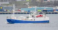 Purse seiner за продан