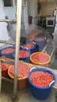 Тралер с греда за продажба