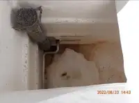Тралер с мрежа за продажба