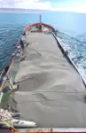 Контейнеровоз за продажба