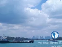 Танкер за нефт/химикали за продажба