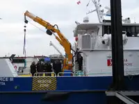 Катамаран за продажба