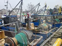 Транспортен кораб за жива риба за продажба