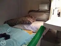 Кутер за продажба