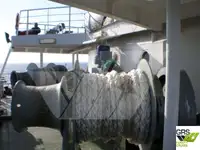 Ro-Ro кораб за продажба