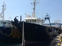 Тралер за продажба