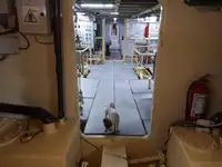 General Cargo/Multi-purpose за продажба