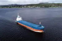 Транспортен кораб за насипни товари за продажба