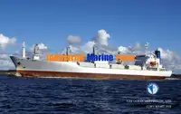 Хладилен кораб за продажба