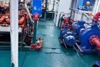 Ферибот за продажба
