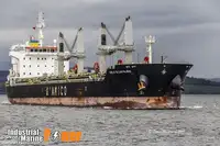 Транспортен кораб за насипни товари за продажба
