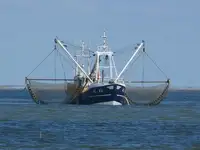 Trawler за продан